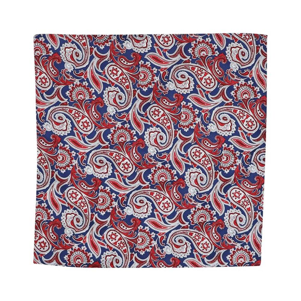Ryan Seacrest Mens Printed Pocket Square, NWT
